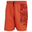 Adidas Paris Ergo Shorts