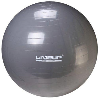 LineUp Gym Ball - Mastersport.no